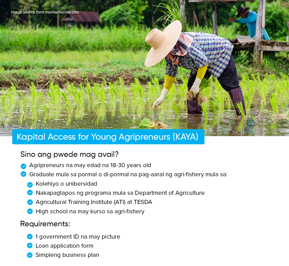 How to Apply for Kapital Access For Young Agripreneurs (KAYA)